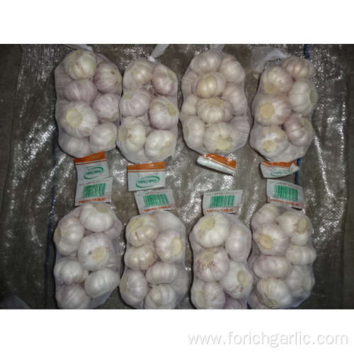 Normal White Garlic High Quality